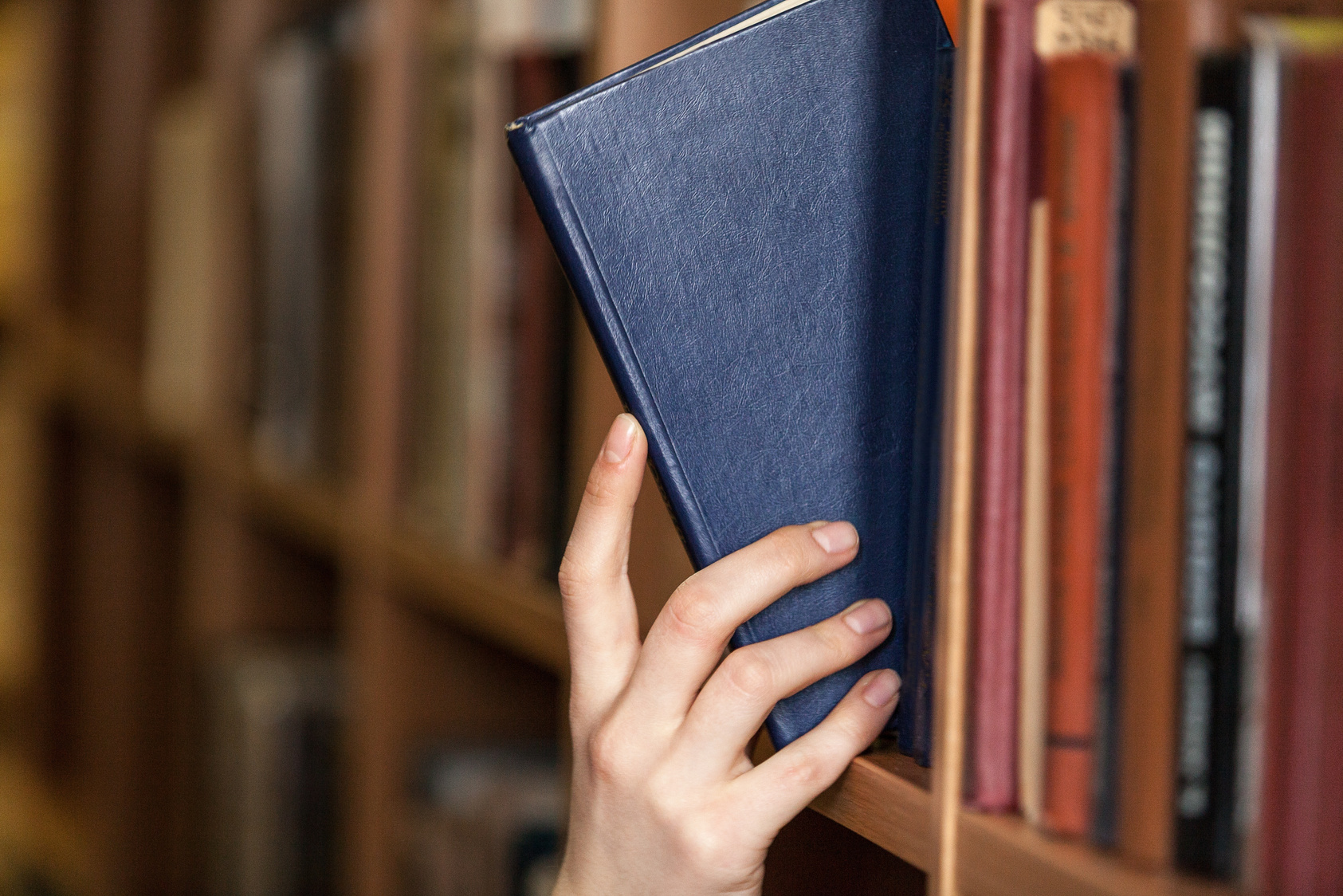 Hand Holds Book Law Book Legal System Library Law Library Research